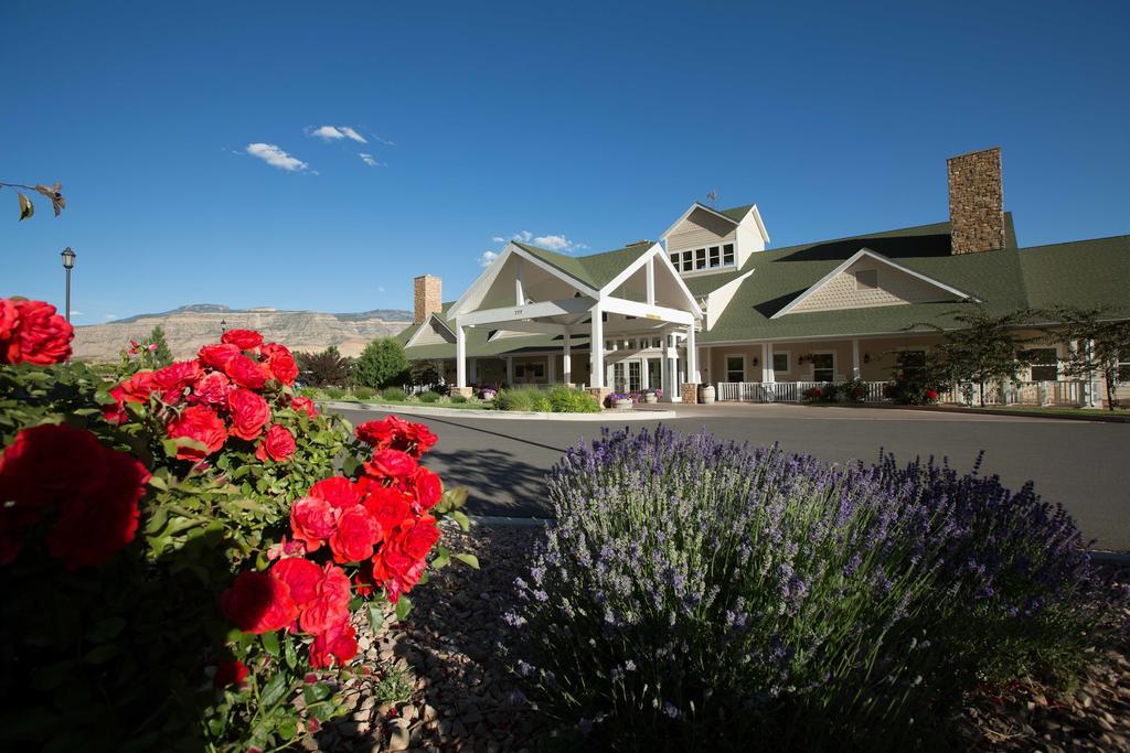 Wine Country Palisade