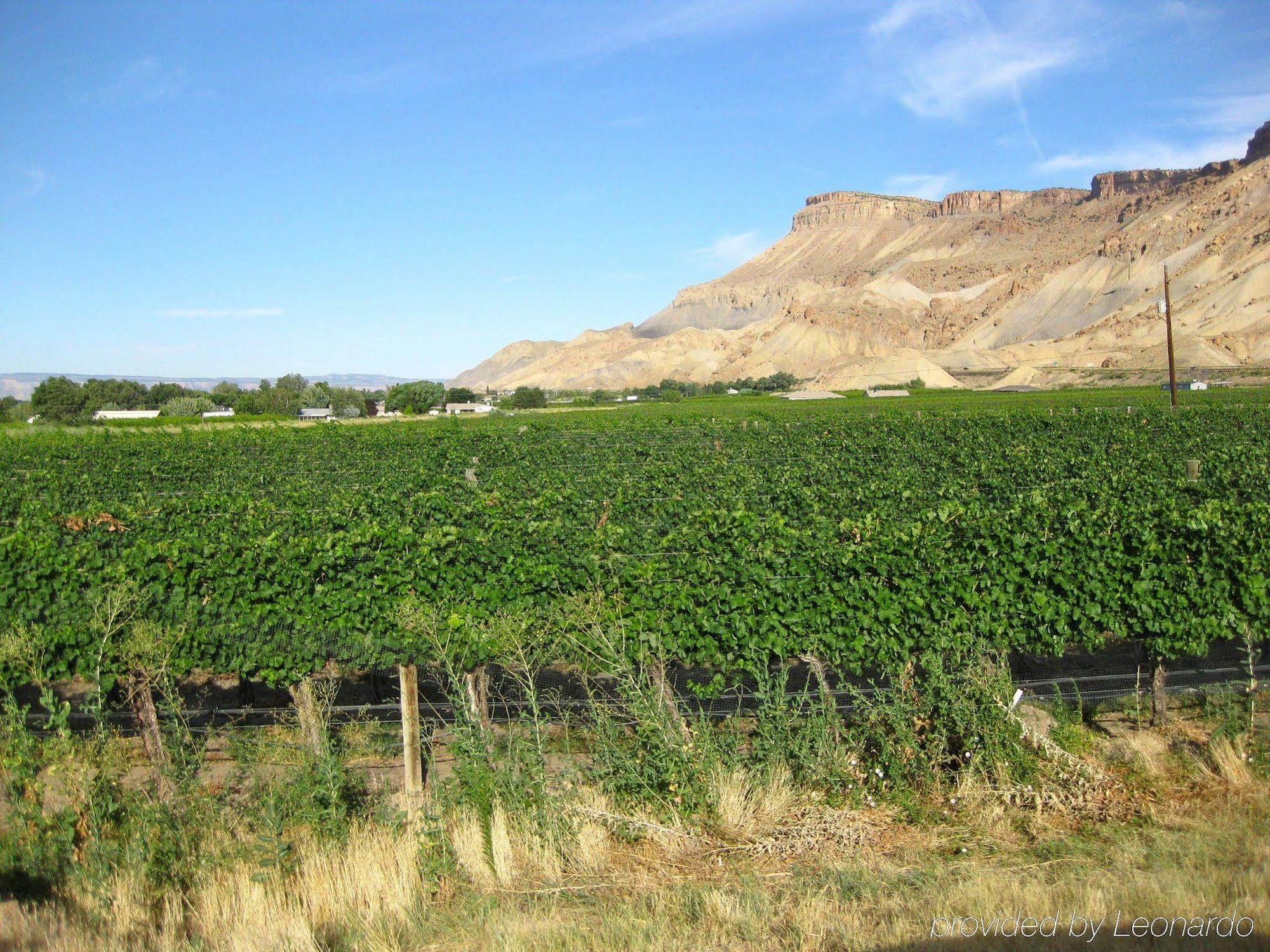 Wine Country Hotel Palisade